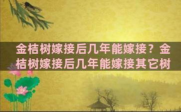 金桔树嫁接后几年能嫁接？金桔树嫁接后几年能嫁接其它树