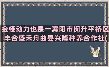 金桠动力也是一襄阳市闵升平桥区丰合盛禾舟曲县兴隆种养合作社(遗憾也是一种动力)