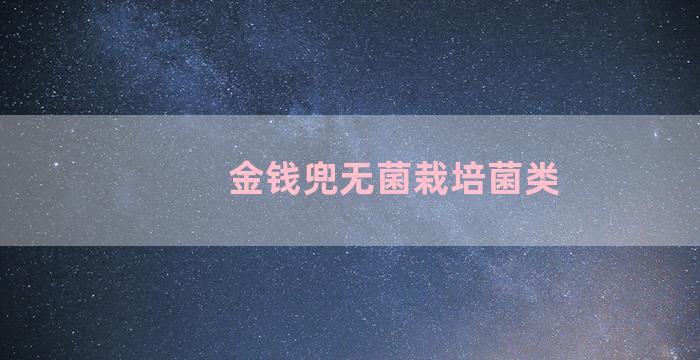 金钱兜无菌栽培菌类