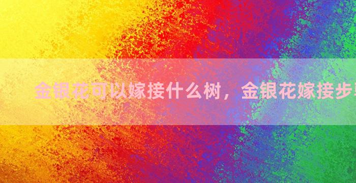 金银花可以嫁接什么树，金银花嫁接步骤与方法