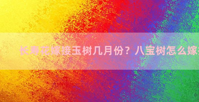 长寿花嫁接玉树几月份？八宝树怎么嫁接长寿花