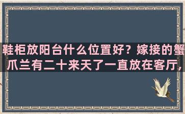 鞋柜放阳台什么位置好？嫁接的蟹爪兰有二十来天了一直放在客厅,现在能不能放阳台上晒太阳,是否能活