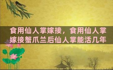 食用仙人掌嫁接，食用仙人掌嫁接蟹爪兰后仙人掌能活几年