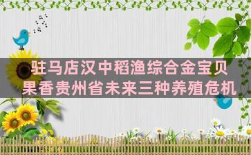 驻马店汉中稻渔综合金宝贝果香贵州省未来三种养殖危机