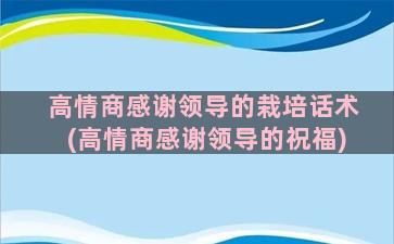 高情商感谢领导的栽培话术(高情商感谢领导的祝福)