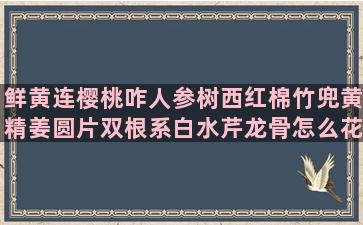 鲜黄连樱桃咋人参树西红棉竹兜黄精姜圆片双根系白水芹龙骨怎么花椒栽培多少