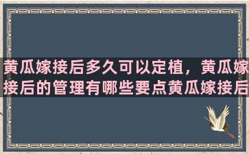 黄瓜嫁接后多久可以定植，黄瓜嫁接后的管理有哪些要点黄瓜嫁接后的管