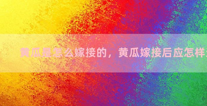 黄瓜是怎么嫁接的，黄瓜嫁接后应怎样进行管理