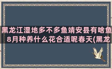 黑龙江湿地多不多鱼靖安县有啥鱼8月种养什么花合适呢春天(黑龙江湿地补偿规定)